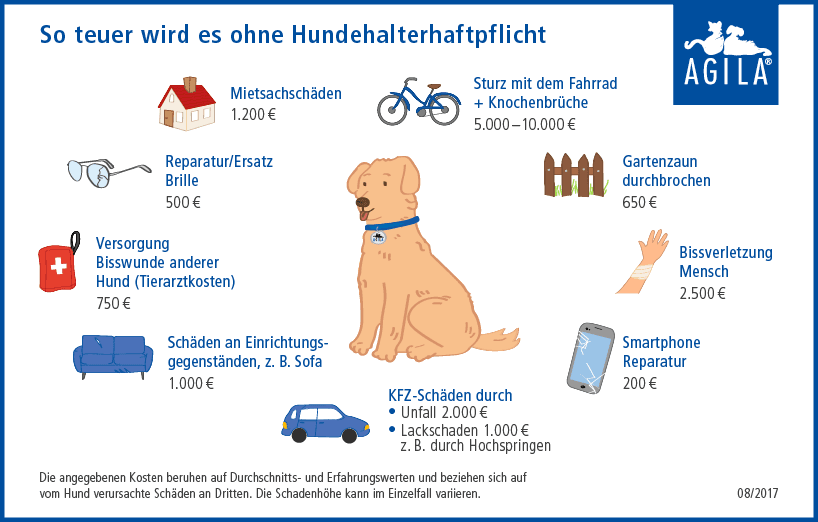 Kosten durch Hund ohne Hundehaftpflichtversicherung