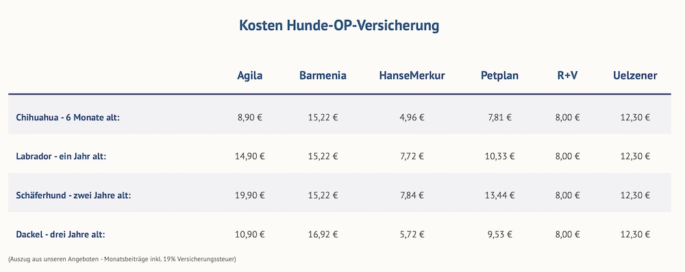 Kosten Hunde OP Versicherung Überblick