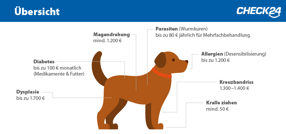 Hundekrankheiten Uebersicht